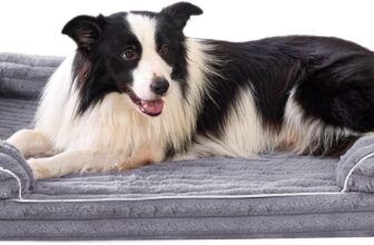 La mejor cama ortopédica para perros: Descanso y salud para tu peludo
