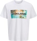 Camiseta JACK & JONES Jjindiana tee SS Crew Neck: ¿El Básico Definitivo?