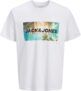 Camiseta JACK & JONES Jjindiana tee SS Crew Neck: ¿El Básico Definitivo?