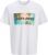 Camiseta JACK & JONES Jjindiana tee SS Crew Neck: ¿El Básico Definitivo?