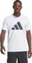 Camiseta adidas Hombre Train Essentials: Tu Compañera Ideal para el Entrenamiento 👕💪