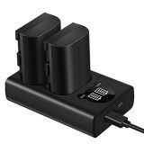 Pack 2 baterias de 1000mAh + cargador para Canon y Sony