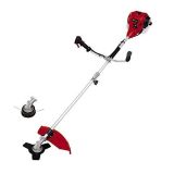 Einhell Desbrozadora de gasolina GC-BC 25/1 I AS (0.6 kW, motor de dos