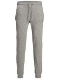 Jack & Jones Jjigordon Jjshark Sweat Pants
