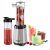 Russell Hobbs Mix  Go – Batidora de Vaso de Mano (300 W, Acero Inoxidable, Plata y Negro, 2 Vasos)